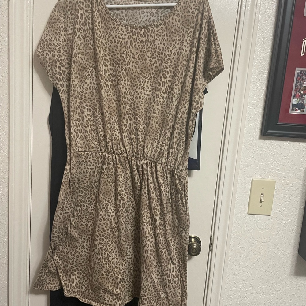 Plus Size women’s knit dress